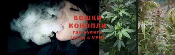 бутират Белокуриха