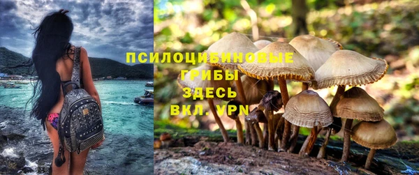 спайс Беломорск