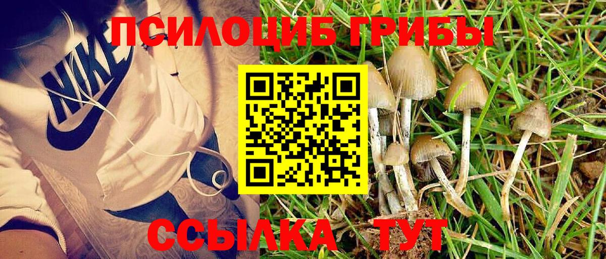 Галлюциногенные грибы Cubensis  Вход с VPN  Галлюциногенные грибы GOLDEN TEACHER  Балтийск 
